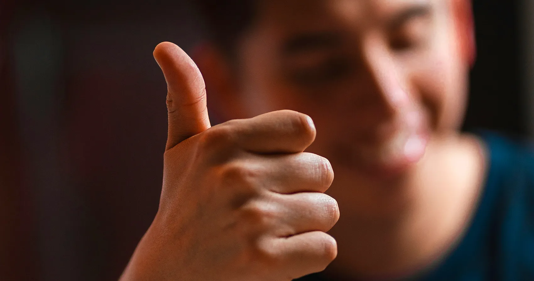 transform section md